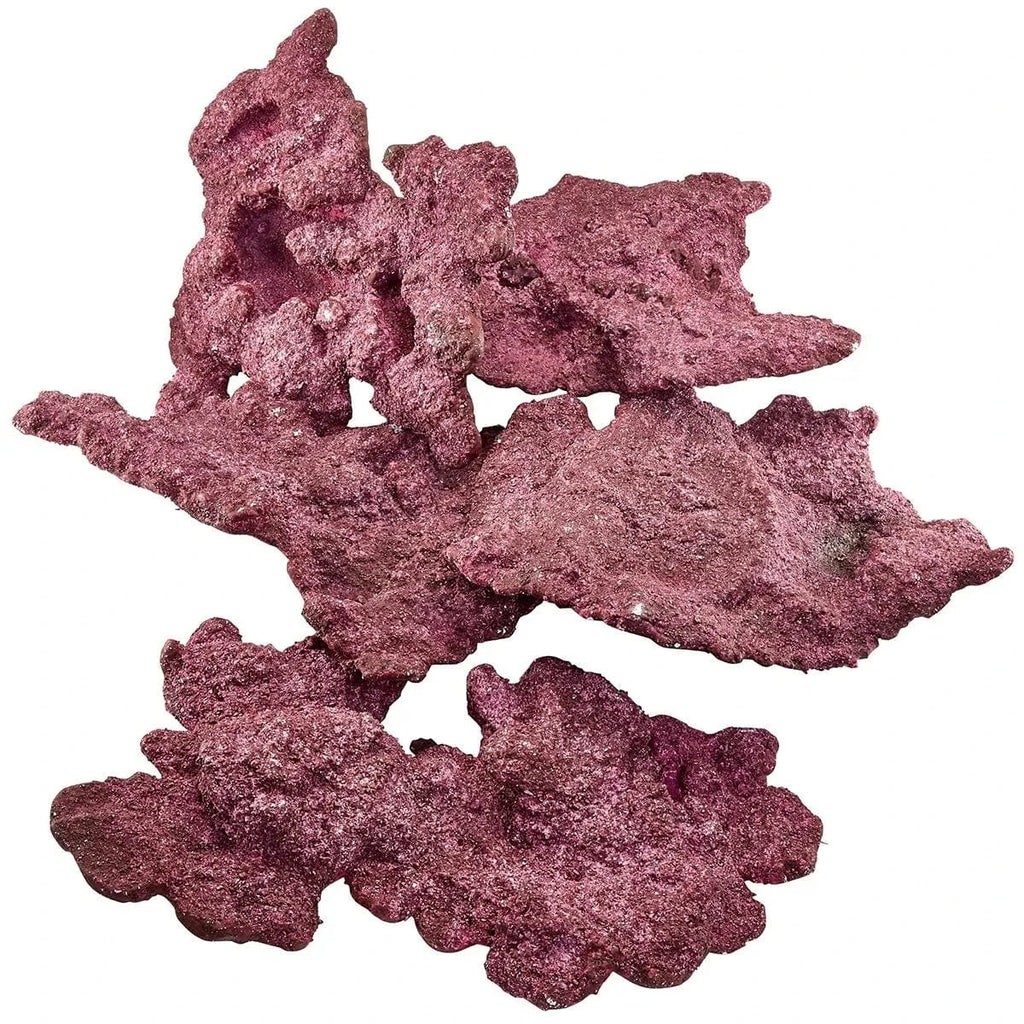 shelf definition rock at nancy hutchinson blog Images... Shelf Rock - 50 lbs Box - Real Reef – Top Shelf Aquatics