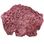 Shelf Rock - 25 lbs Box - Real Reef