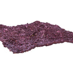 Shelf Rock - 25 lbs Box - Real Reef