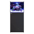 REEFER 170 G3 (43.6 Gal) - Red Sea
