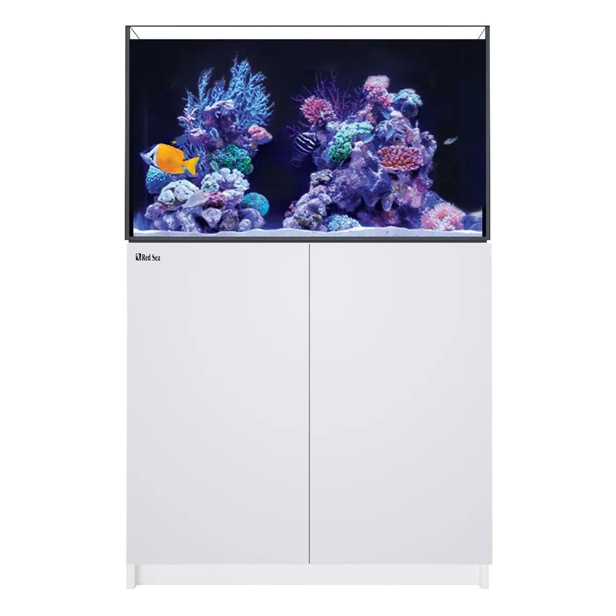 Red Sea REEFER 250 G3 Reef Aquarium (64.8 Gal) – Top Shelf Aquatics