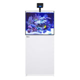 REEFER Deluxe 200 G3 (52.8 Gal) (incl. 1 x ReefLED 115) - Red Sea