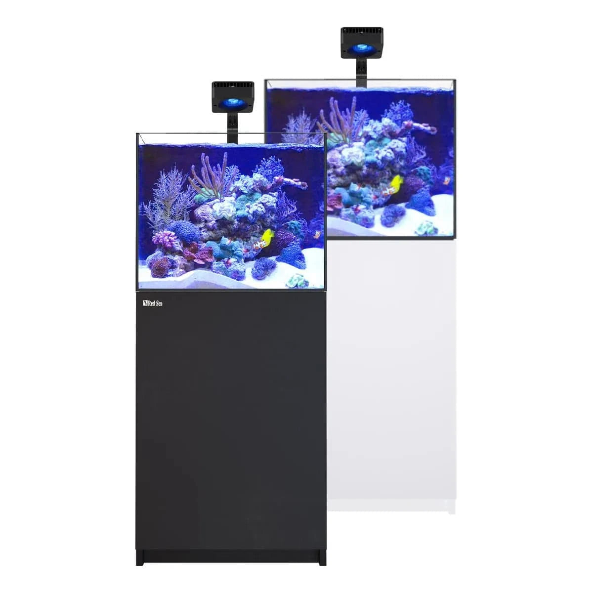 REEFER Deluxe 200 G3 (52.8 Gal) (incl. 1 x ReefLED 115) - Red Sea