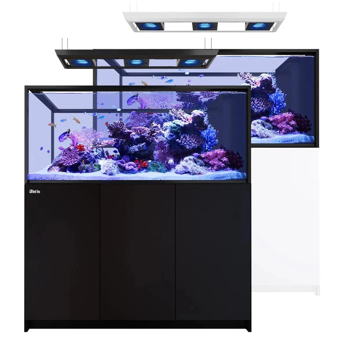 REEFER Deluxe Peninsula S-700 G3 (186.2 Gal) (incl. 3 x ReefLED 170)- Red Sea