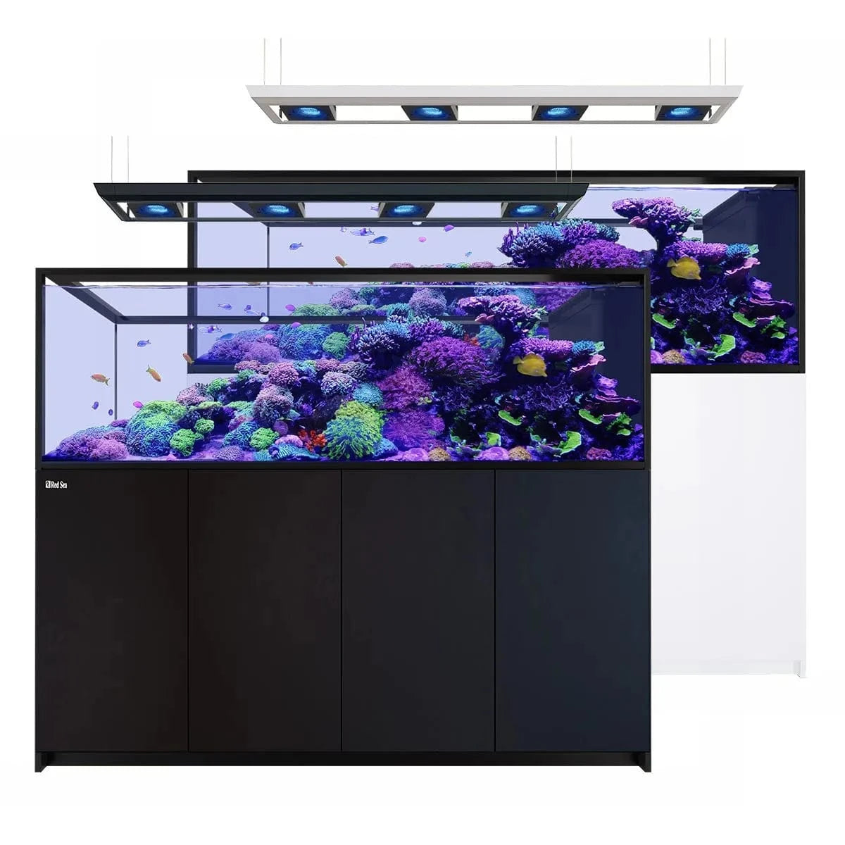 REEFER Deluxe Peninsula S-950 G3 (250.2 Gal) (incl. 4 x ReefLED 170) - Red Sea