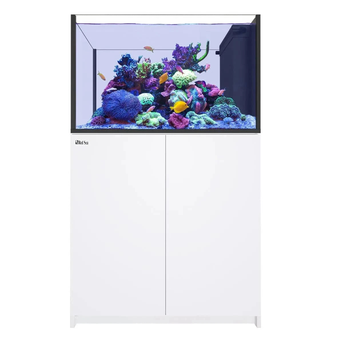 REEFER Peninsula 350 G3 (93 Gal) - Red Sea