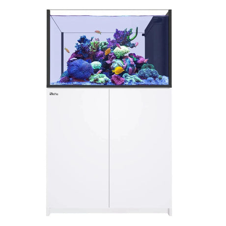 REEFER Peninsula 350 G3 (93 Gal) - Red Sea