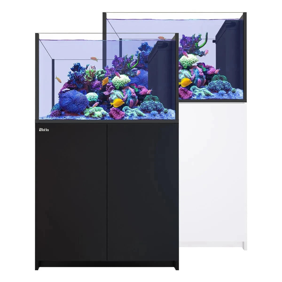 REEFER Peninsula 350 G3 (93 Gal) - Red Sea