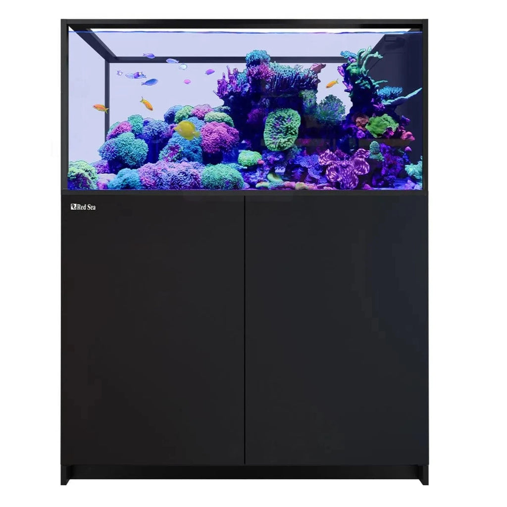 REEFER Peninsula 500 G3 (137.1 Gal) - Red Sea – Top Shelf Aquatics