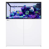 REEFER Peninsula 500 G3 (137.1 Gal) - Red Sea
