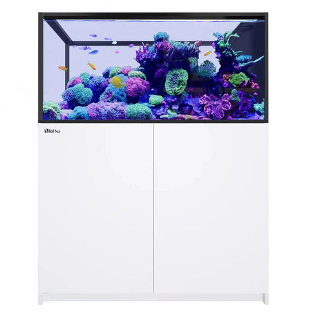 REEFER Peninsula 500 G3 (137.1 Gal) - Red Sea
