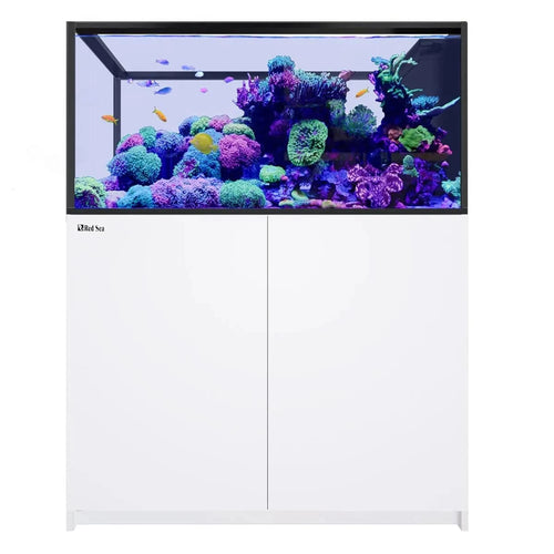 REEFER Peninsula 500 G3 (137.1 Gal) - Red Sea