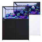 REEFER Peninsula 500 G3 (137.1 Gal) - Red Sea