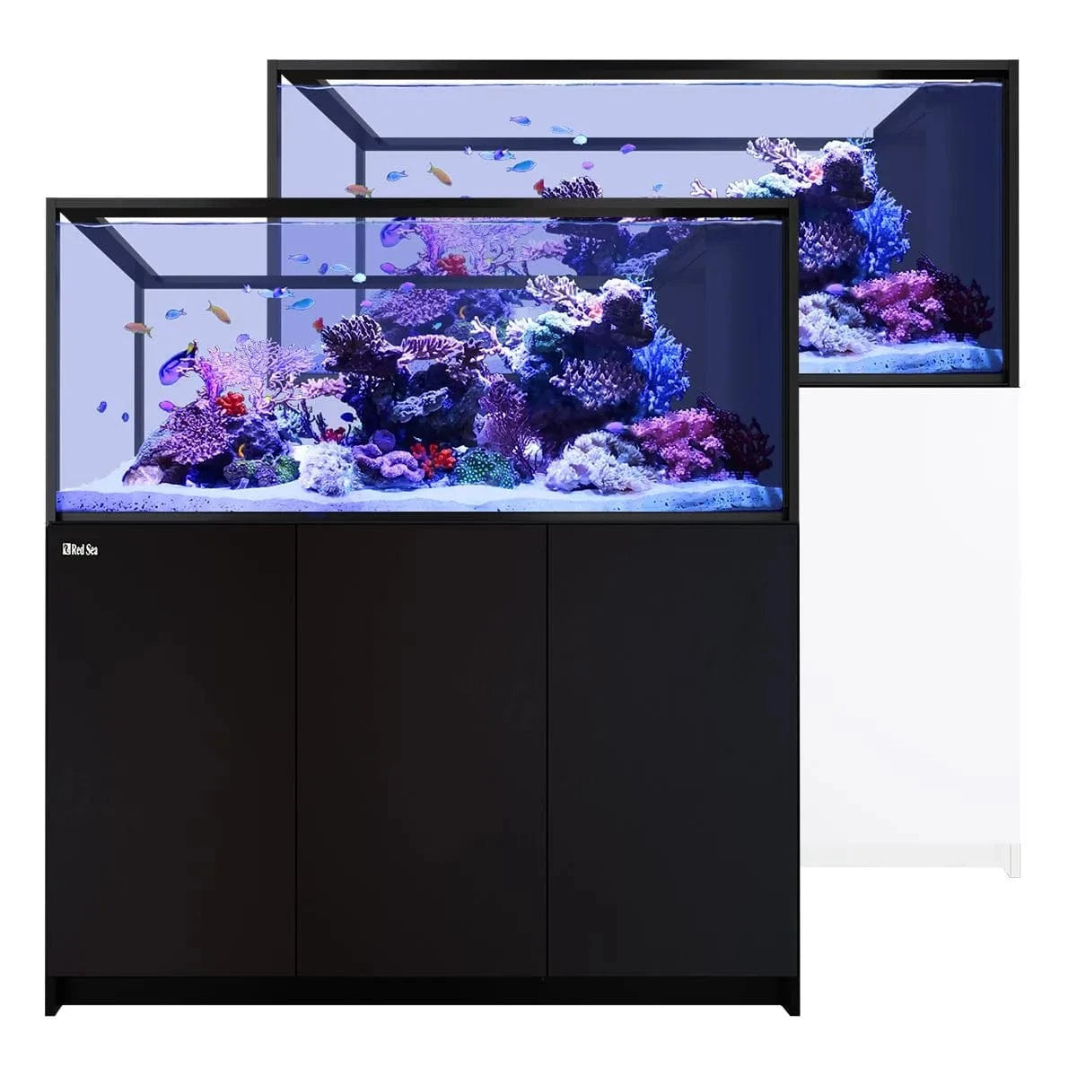 REEFER Peninsula S-700 G3 (186.2 Gal) - Red Sea