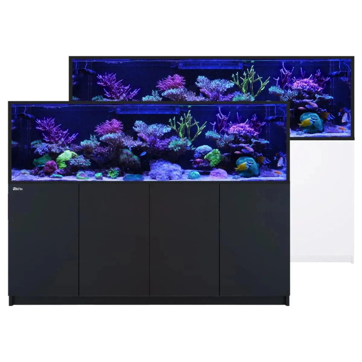 REEFER S-1000 G3 (264.2 Gal) - Red Sea