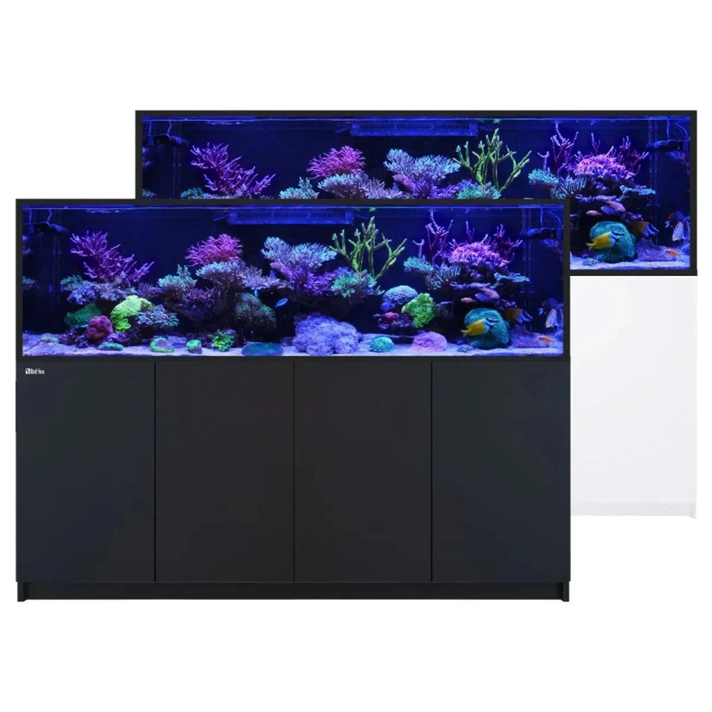 Red Sea REEFER S-1000 G3 Reef Aquarium (264.2 Gal) – Top Shelf Red Sea REEFER S-1000 G3 Reef Aquarium (264.2 Gal) – Top Shelf