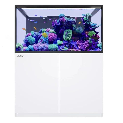 REEFER S-550 G3 (145.1 Gal) - Red Sea