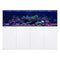 REEFER S-850 G3 (224.5 Gal) - Red Sea