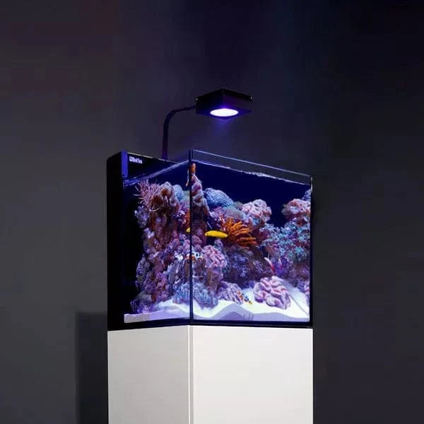 MAX NANO G2 Complete Reef System - Red Sea