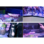 MAX NANO G2 XL Complete Reef System - Red Sea
