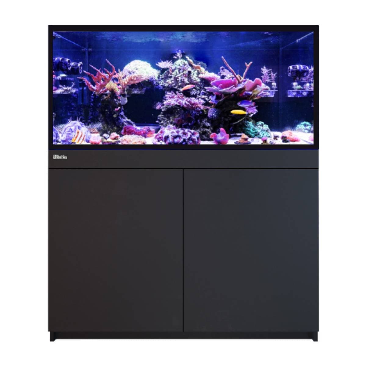 Red Sea REEF-FRAME 350 Reef Aquarium (74.6 Gal) – Top Shelf Aquatics