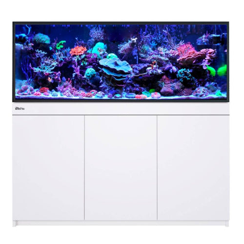 REEF-FRAME 500 Aquarium (107 Gallons) - Red Sea White