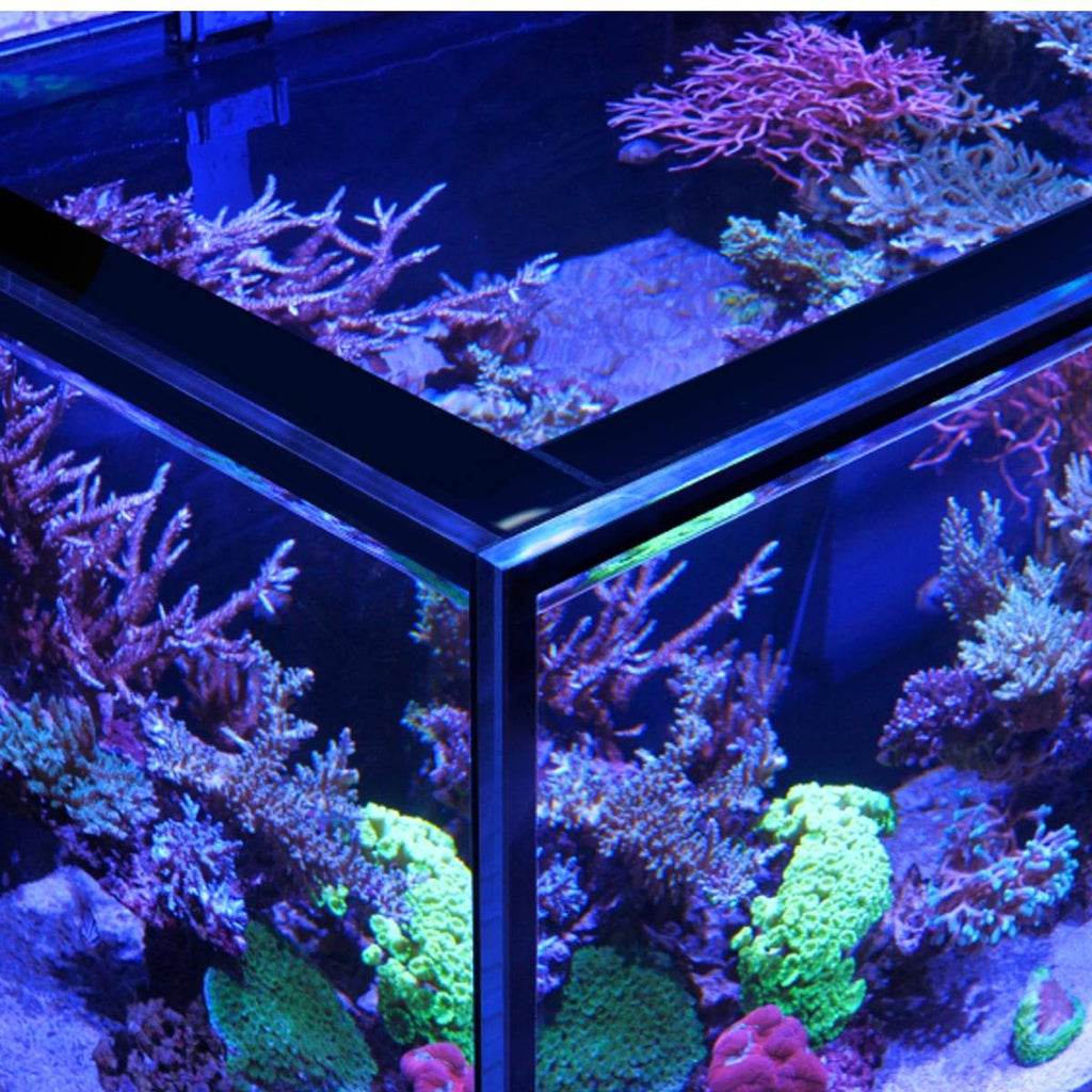 REEF-FRAME MAX 170 Aquarium (35.9 Gallons) - Red Sea