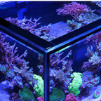 REEF-FRAME MAX 170 Aquarium (35.9 Gallons) - Red Sea