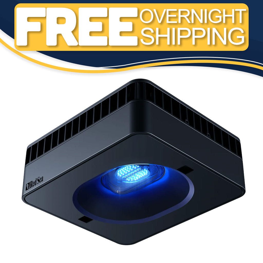 Red Sea Aquarium Lighting | ReefLED Lights for Coral Growth