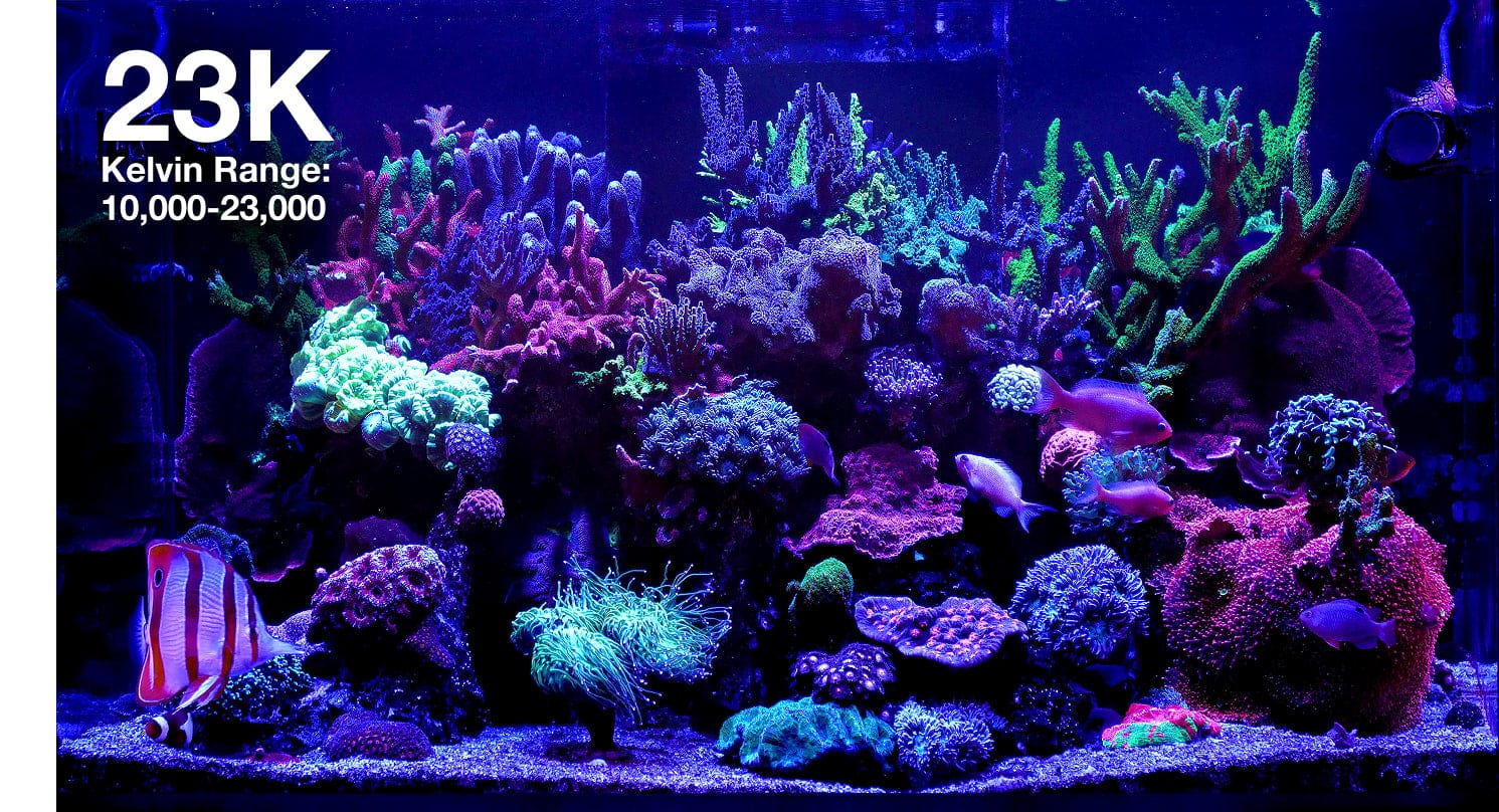 ReefLED G2 170 LED Light Fixture - Red Sea – Top Shelf Aquatics