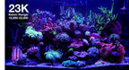 ReefLED G2 60 LED Light Fixture - Red Sea