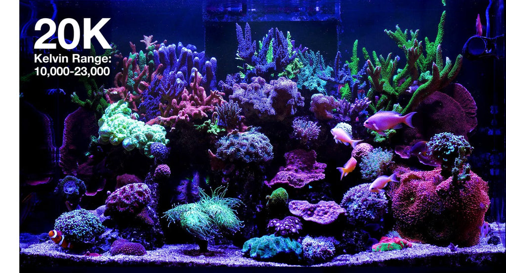 ReefLED G2 60 LED Light Fixture - Red Sea