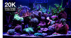 ReefLED G2 60 LED Light Fixture - Red Sea