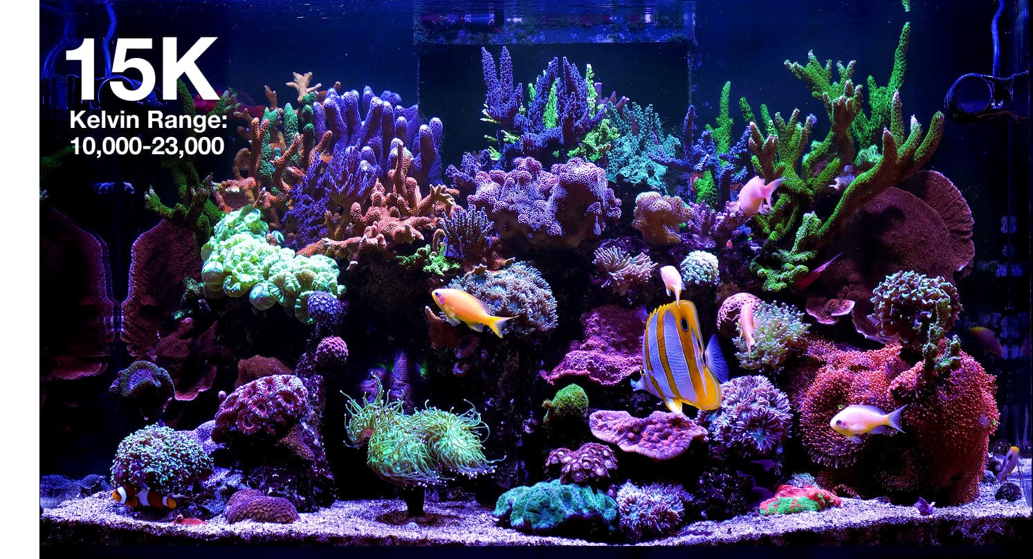 ReefLED G2 60 LED Light Fixture - Red Sea – Top Shelf Aquatics