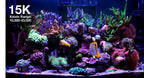 ReefLED G2 60 LED Light Fixture - Red Sea