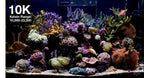 ReefLED G2 60 LED Light Fixture - Red Sea