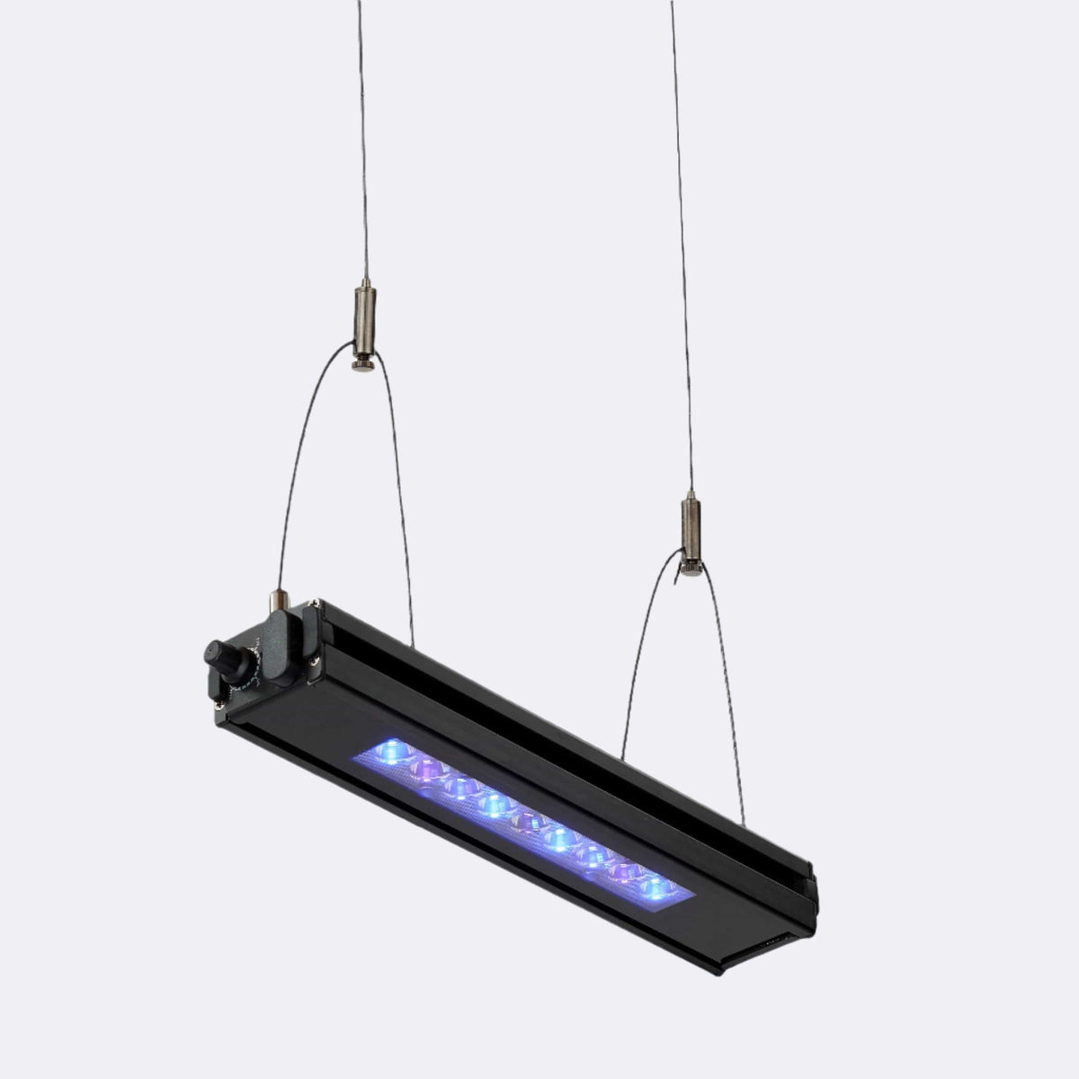 Edge 12 - Reef Breeders – Top Shelf Aquatics