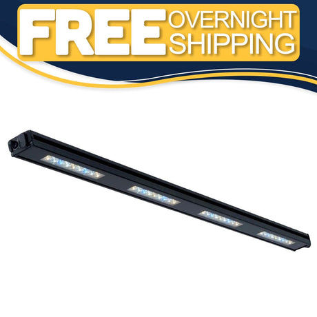 Edge 45 - Reef Breeders