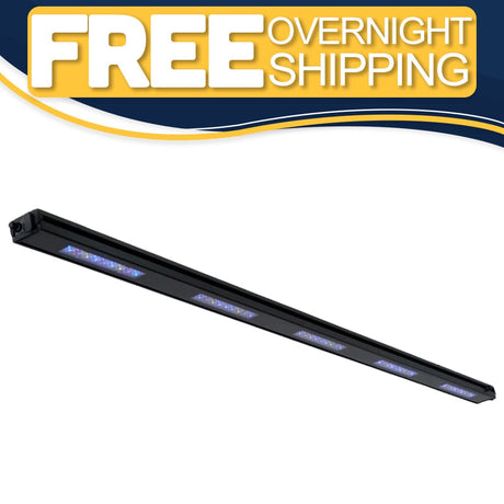 Edge 63 - Reef Breeders