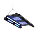 Edge Articulating Mounts - Reef Breeders