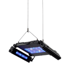 Meridian 11 Edge Bar Bundle - Reef Breeders