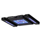 Meridian 11 Edge Bar Bundle - Reef Breeders