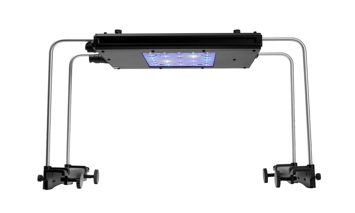 Meridian 11 - Reef Breeders