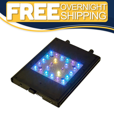 Meridian 11 - Reef Breeders