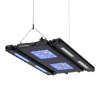 Meridian 24 Edge Bar Bundle - Reef Breeders