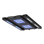 Meridian 24 Edge Bar Bundle - Reef Breeders