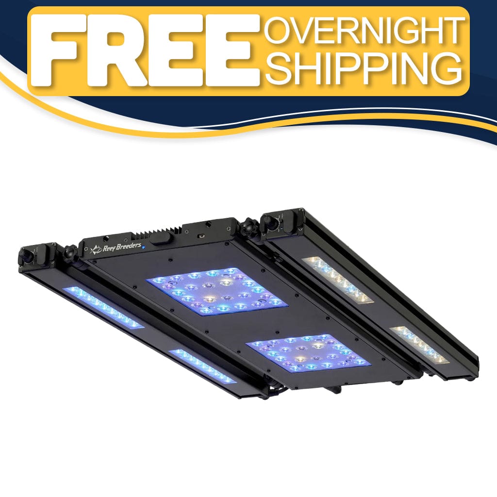 Meridian 24 Edge Bar Bundle - Reef Breeders