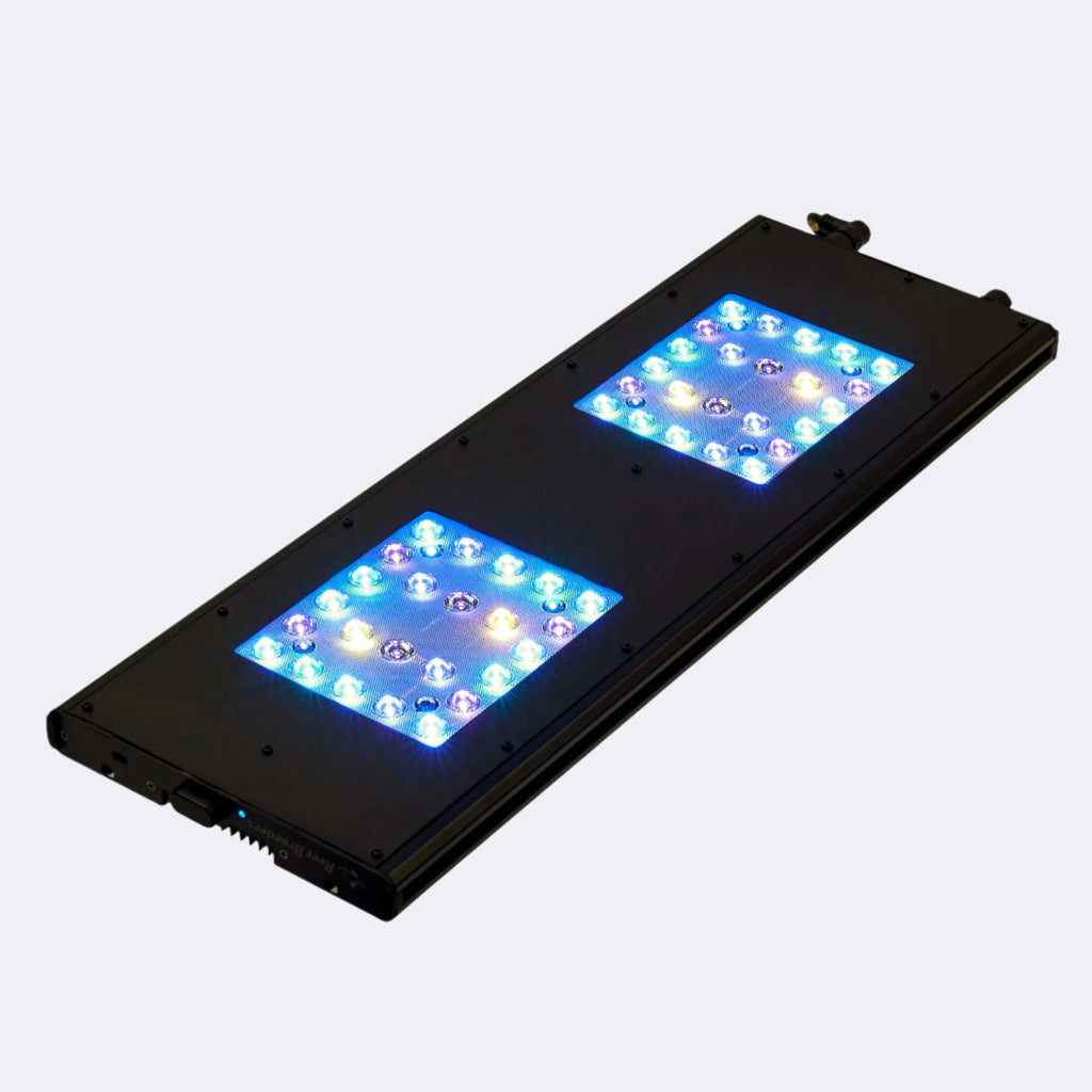 Meridian 24 - Reef Breeders