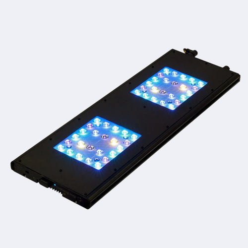 Meridian 24 - Reef Breeders