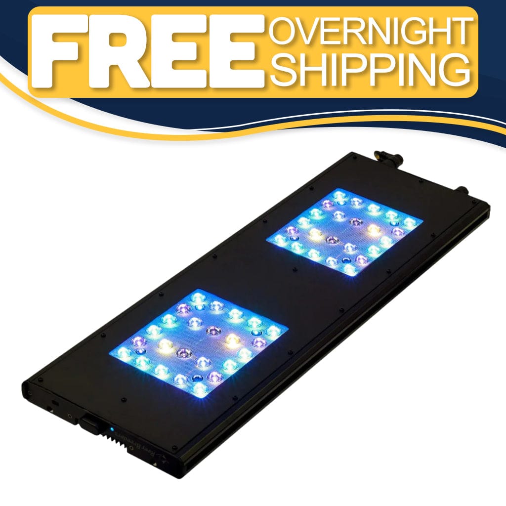 Meridian 24 - Reef Breeders